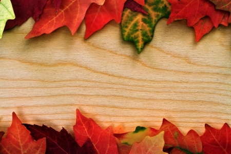 fall leafs over wooden boardの写真素材