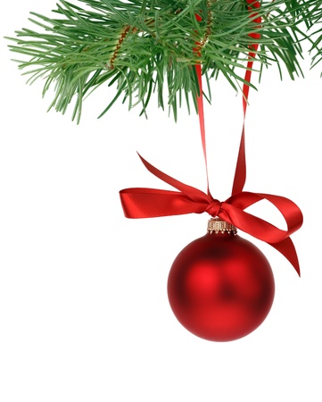Christmas tree branch with red ball の写真素材