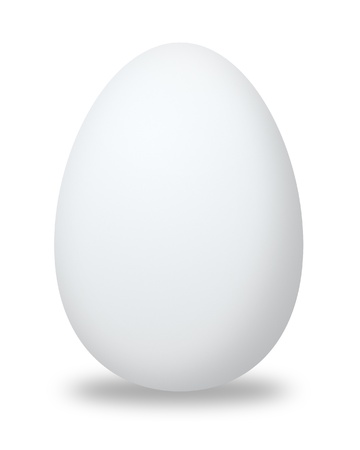white eggの写真素材