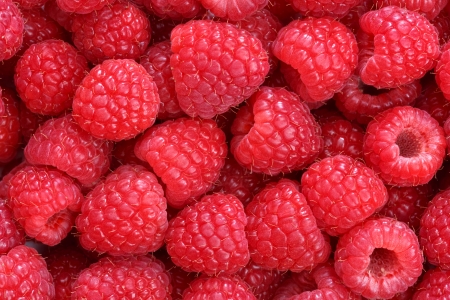raspberries backgroundの写真素材