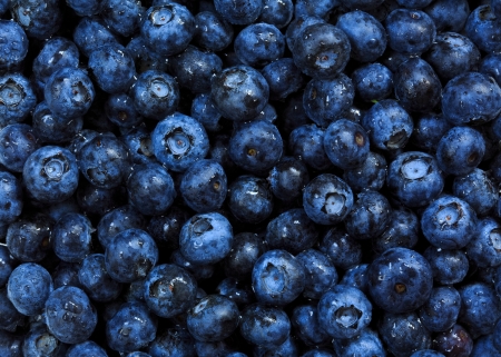 Bluberries backgroundの写真素材