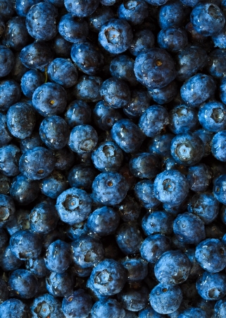Bluberries backgroundの写真素材