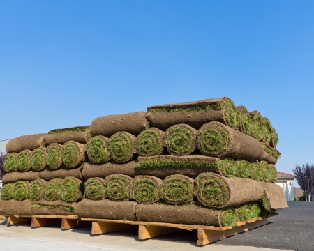 stacks of sod rollsの写真素材