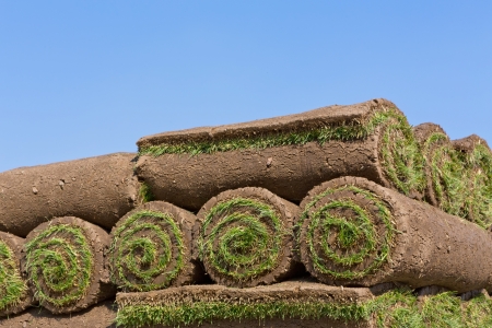 stacks of sod rollsの写真素材
