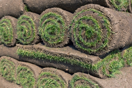 stacks of sod rollsの写真素材