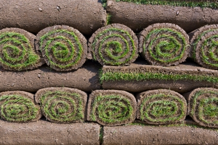 stacks of sod rollsの写真素材