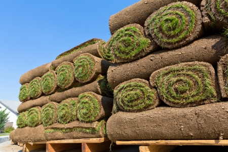 stacks of sod rollsの写真素材