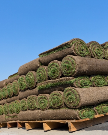 stacks of sod rollsの写真素材