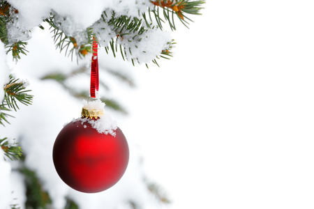 christmas tree branch with snow and ornamentの写真素材