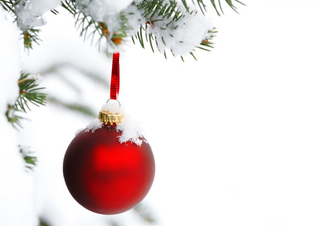 christmas tree branch with snow and ornamentの写真素材