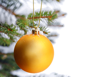 christmas tree branch with snow and ornamentの写真素材