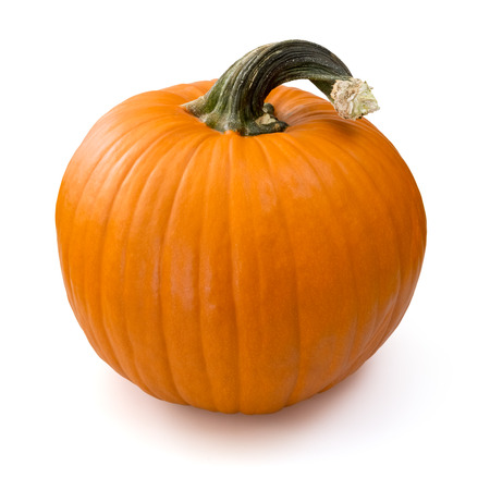 pumpkinの写真素材