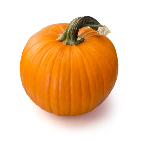 pumpkinの写真素材