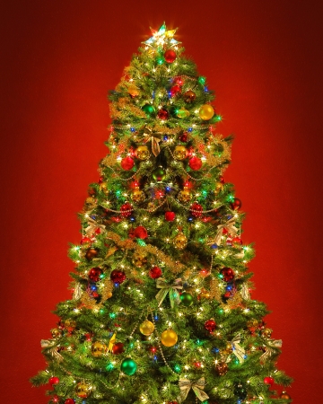 Christmas treeの写真素材