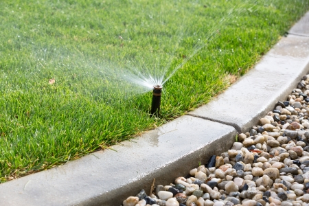 sprinkler watering grassの写真素材