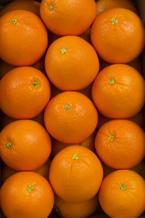 Orangesの写真素材