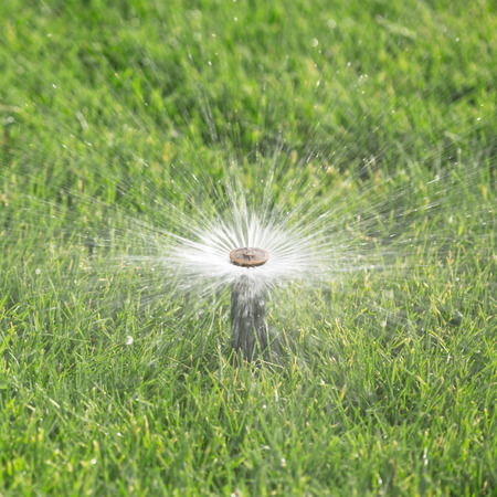 automatic sprinkler watering lawnの写真素材
