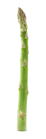 Asparagusの写真素材