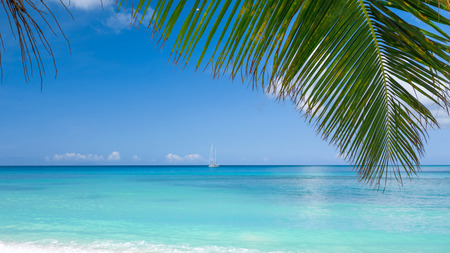 Tropical beachの写真素材