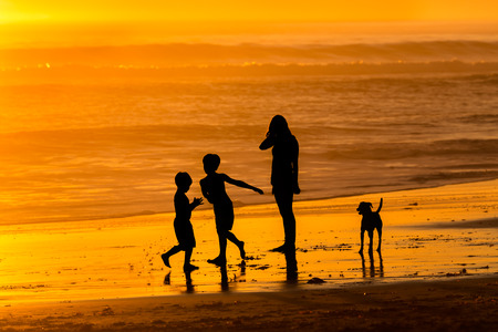 Family relaxing on the beachの写真素材