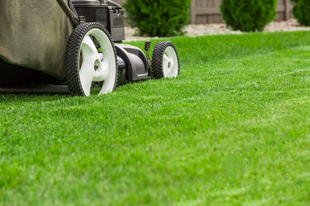 Lawn mowerの写真素材