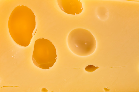 Cheese backgroundの写真素材