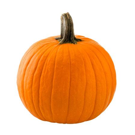 Pumpkin isolated on white backgroundの写真素材