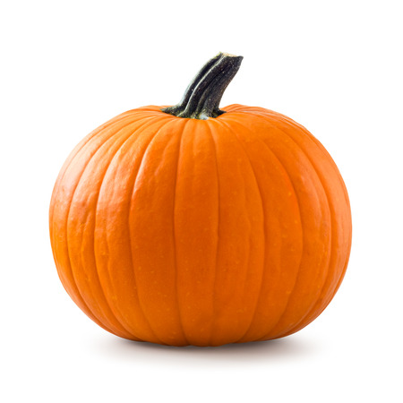 Pumpkinの写真素材