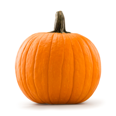 Pumpkinの写真素材
