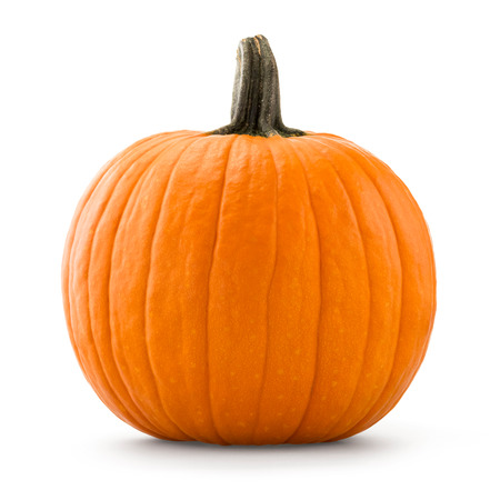 Pumpkinの写真素材