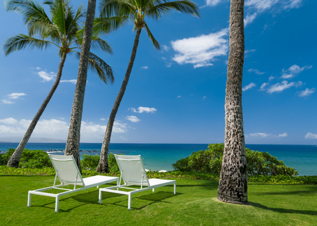 Tropical beach with palm treesの写真素材