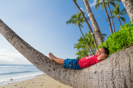 Boy relaxing on palm treeの写真素材