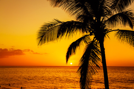 Golden tropical sunsetの写真素材
