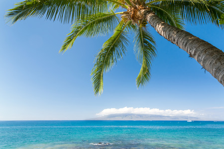 Sunny tropical beachの写真素材