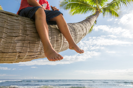 Boy sitting on palm tree on sunny tropical day at the beachの写真素材