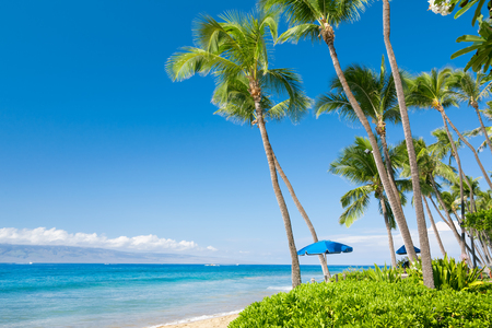 Sunny tropical beachの写真素材