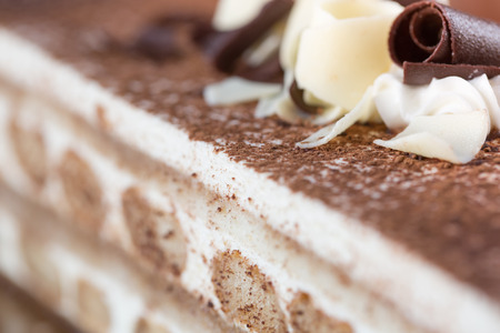 Tiramisu cakeの写真素材