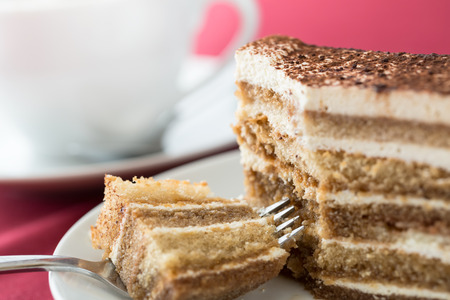 Tiramisu cakeの写真素材