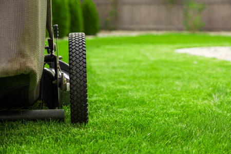 Lawn mower on green grassの写真素材