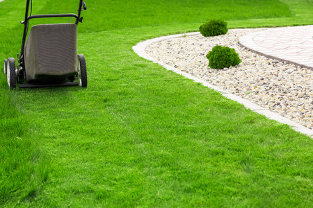 Lawn mower on green grassの写真素材