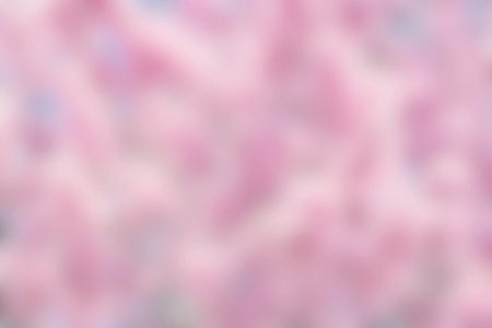 Spring backgroundの写真素材