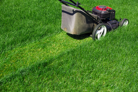 Lawn mower on green lawnの写真素材