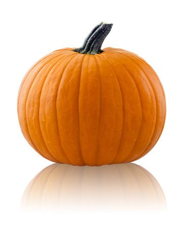 Pumpkin isolated on whiteの写真素材