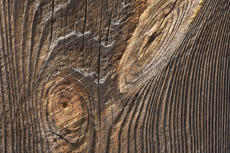 Wood texture backgroundの写真素材