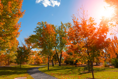 Autumnの写真素材