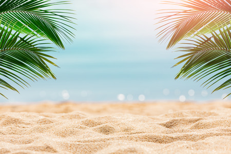 Sunny tropical beach with palm treesの写真素材