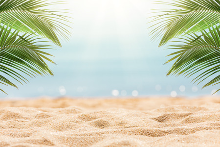 Sunny tropical beach with palm treesの写真素材