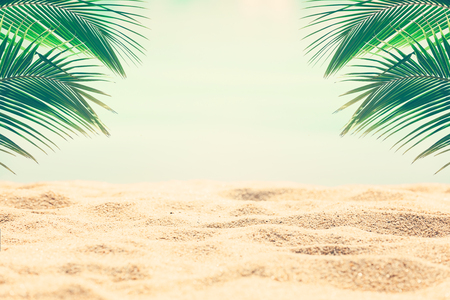 Sunny tropical beach with palm treesの写真素材