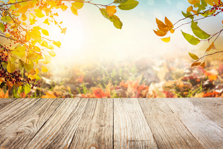 Wooden table with autumn leaves backgroundの写真素材