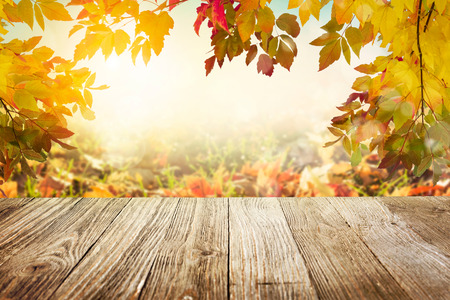 Wooden table with autumn leaves backgroundの写真素材